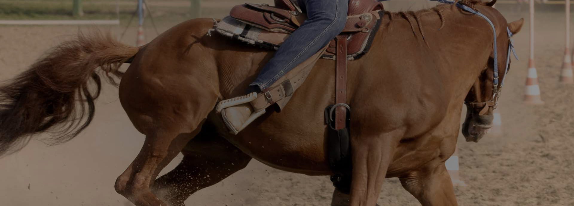 home-1-slider-image-3