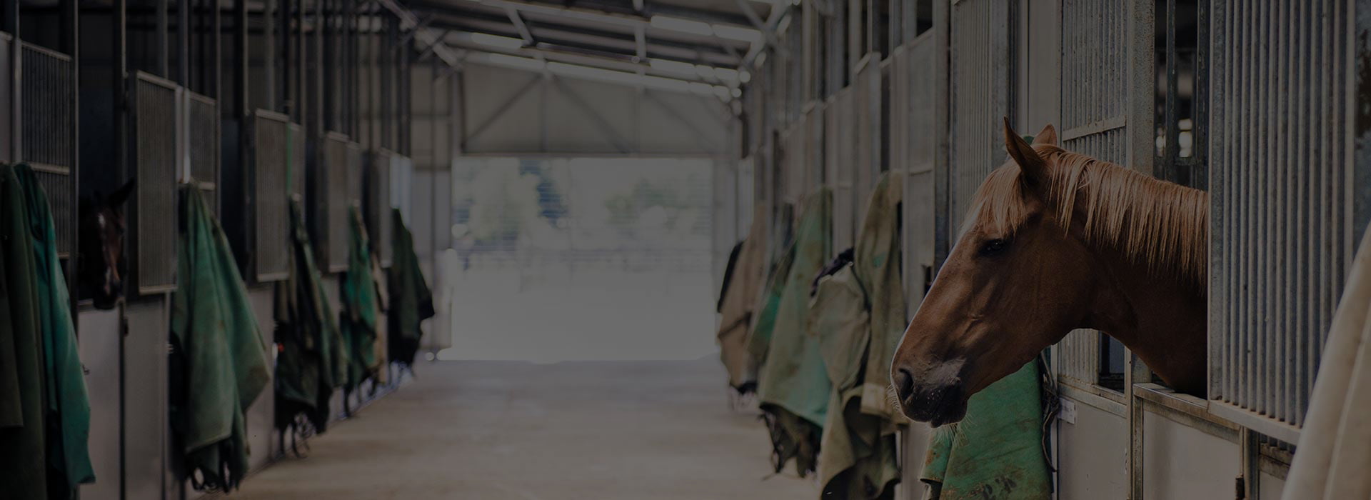 home-2-slider-image-3