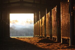 Horse Barns Near Me